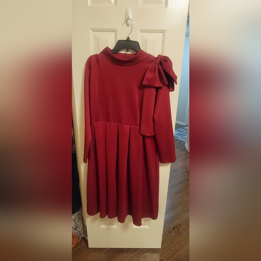 Crimson/Brick Red Dress